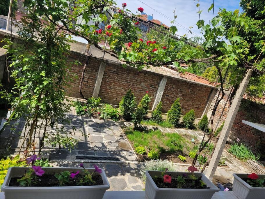 Plovdiv Top Center 2 Bdrm Apartment, 5Min From Central Square & Garden, Free Parking Exterior foto